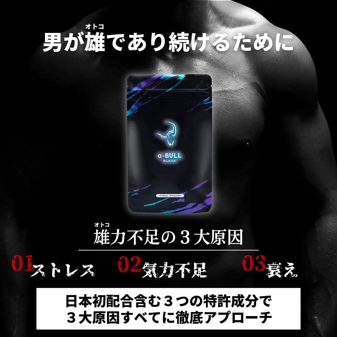 α-BULL BLACK 製品画像 3